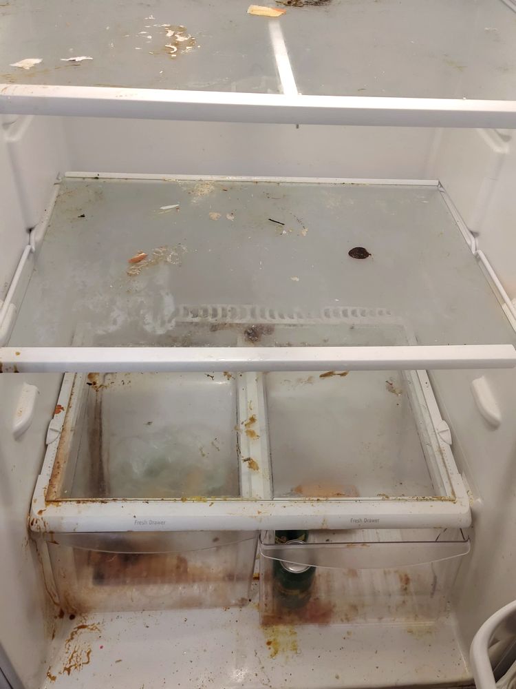 Dirty, stained refrigerator interior before cleaning